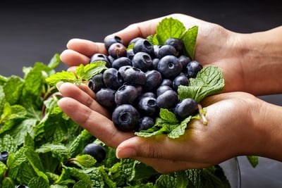 Alimentos ricos en antioxidantes que ...