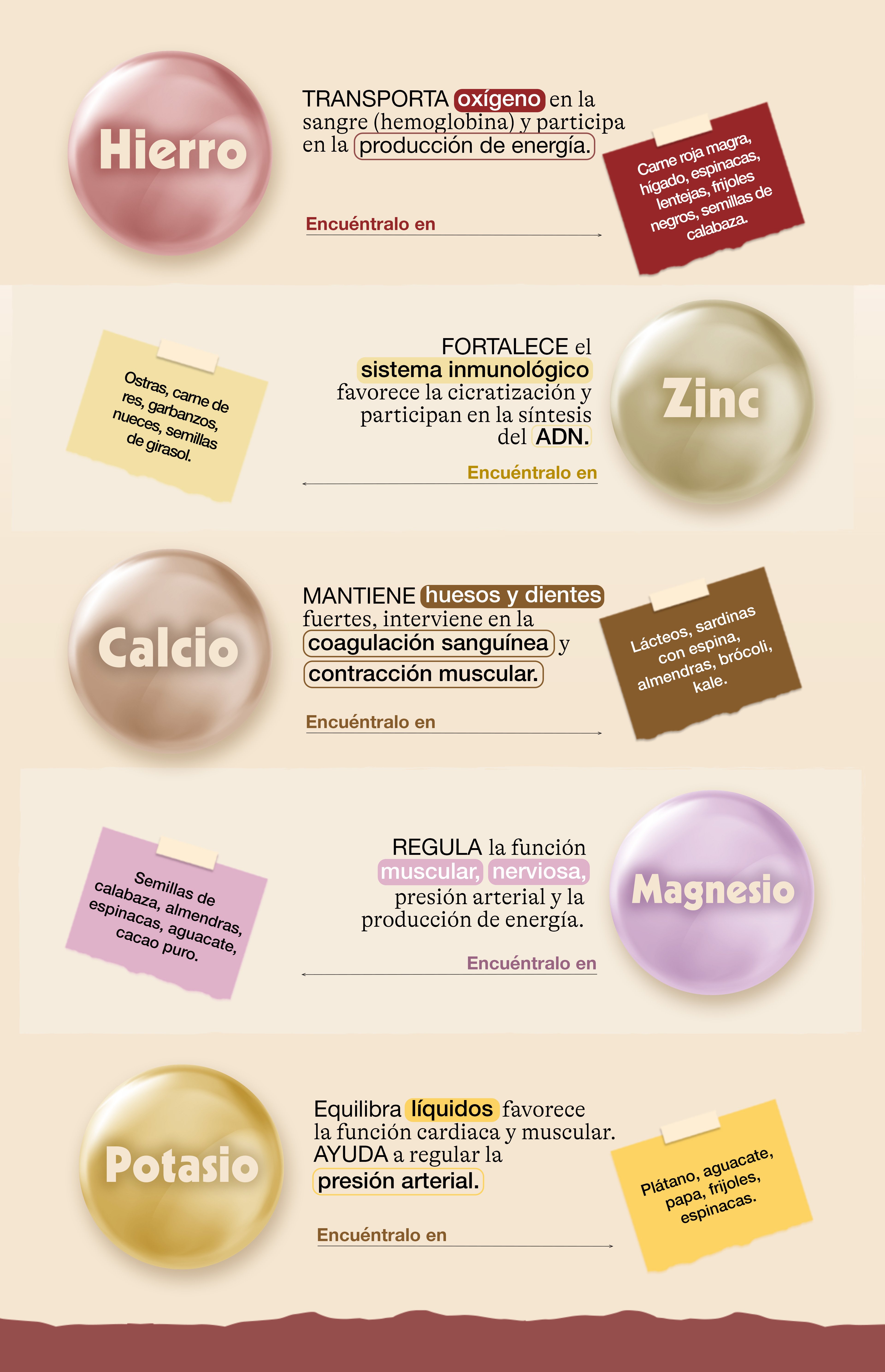 minerales-clave-alimentacion-infografia