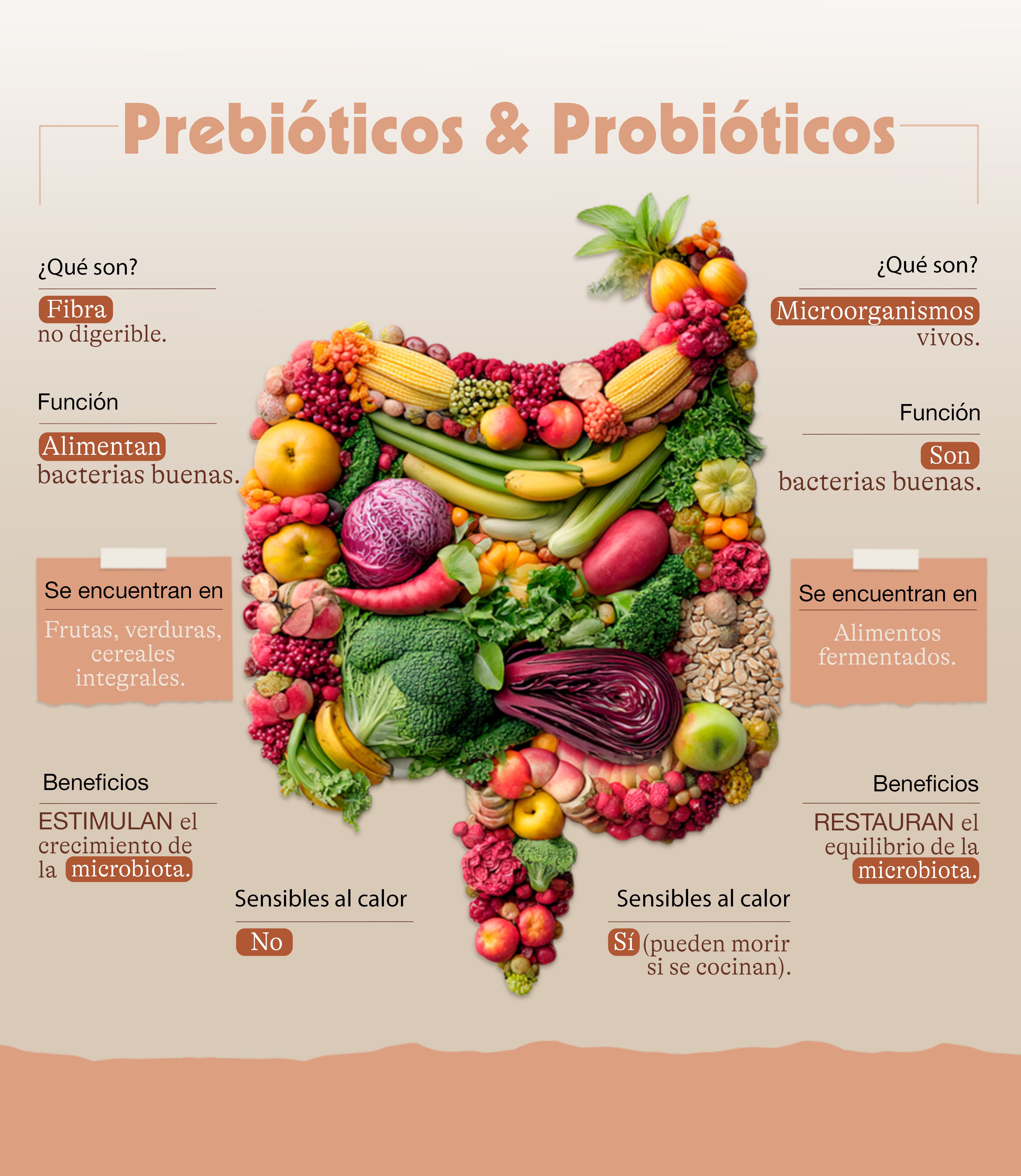 Diferencias-entre-prebioticos-probioticos-infografia